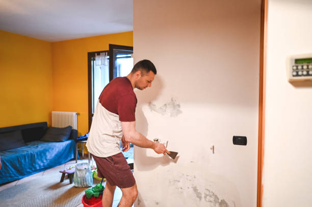 Best Water Damage Restoration  in Dover, AR